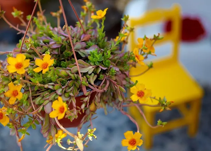 Anna Traditional Aparthotel Kamari (Santorini)