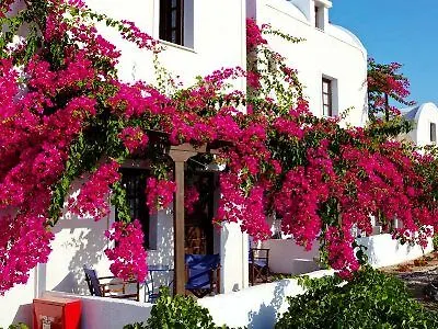 Anna Traditional Hotel apartamentowy 2*