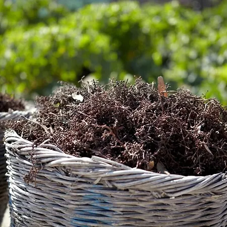 Anna Traditional Aparthotel 3*